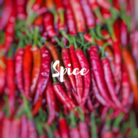 Spice. Red chili peppers, closeup view.の写真素材