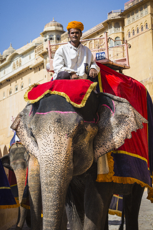 JAIPUR, INDIA - SEPTEMBER 18, 2017: Unidentified men ride decorated elephants in Jaleb Chowk in Amber Fort in Jaipur, India. Elephant rides are popular tourist attraction in Amber Fort.のeditorial素材