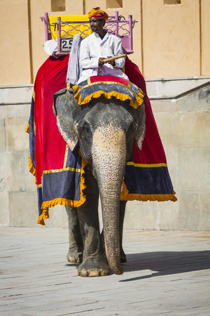 Unidentified men ride decorated elephants in Jaleb Chowk in Amber Fort in Jaipur, India. Elephant rides are popular tourist attraction in Amber Fort.のeditorial素材
