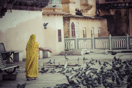 Woman feeding Pigeons in Udaipur, India.