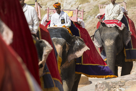 JAIPUR, INDIA - SEPTEMBER 18, 2017: Unidentified men ride decorated elephants in Jaleb Chowk in Amber Fort in Jaipur, India. Elephant rides are popular tourist attraction in Amber Fort.のeditorial素材