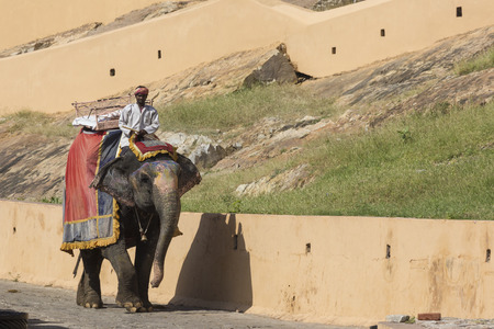 JAIPUR, INDIA - SEPTEMBER 18, 2017: Unidentified men ride decorated elephants in Jaleb Chowk in...