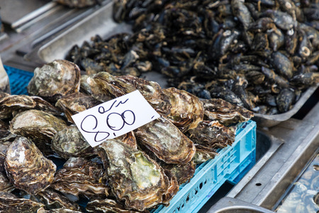 Background of mussels for sale at a fish market in Sicily, Italy.の写真素材