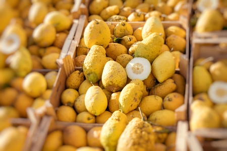 Close up of a wooden box full of big yellow cedar at the fruit market of Palermo, Sicily, Italyの写真素材
