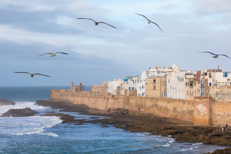 Seagulls on the sky in Essaouira, city and port on the Atlantic coast in Morocco, North Africaの写真素材