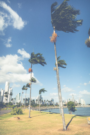 Panoramic view of Panama City Skyline - Panama City, Panamaの写真素材