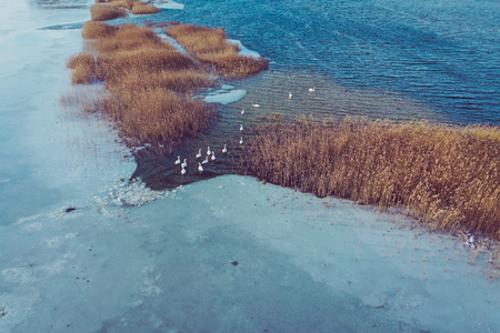 Aerial view of frozen lake. Winter scenery. Landscape photo captured with drone above winter wonderland.の写真素材