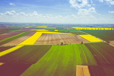 Aerial view of summer fields. Yellow fields from above. Photo captured with drone.のeditorial素材