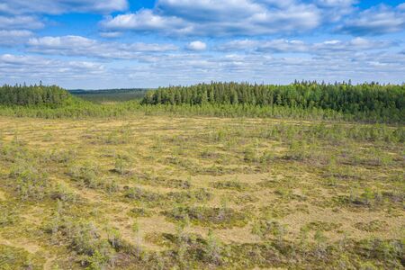 Aerial view of Kurjenrahka National Park. Turku. Finland. Nordic natural landscape. Scandinavian national park. Photo made by drone from above.の写真素材