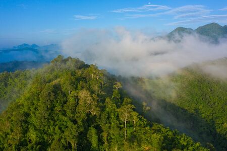 Aerial view of tropical rainforest. North Laos. Southeast Asia. Photo made by drone from above. Bird eye view.の写真素材