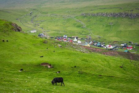 View on the Mykines island with moody clouds covering the top of the mountains and sheep grazing on the pasture, Mykines island, Faroe Islands, Europe.の写真素材