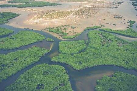 Aerial view of mangrove forest in the  Saloum Delta National Park, Joal Fadiout, Senegal. Photo made by drone from above. Africa Natural Landscape.の写真素材