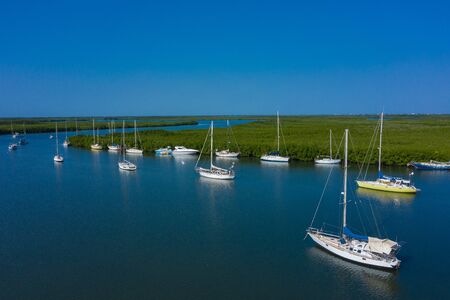 Aerial view of mangrove forest in Gambia. Photo made by drone from above. Africa Natural Landscape.の写真素材