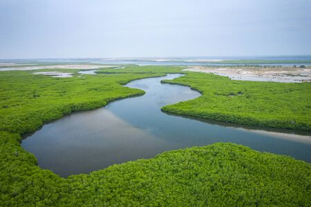 Senegal Mangroves. Aerial view of mangrove forest in the  Saloum Delta National Park, Joal Fadiout, Senegal. Photo made by drone from above. Africa Natural Landscape.の写真素材