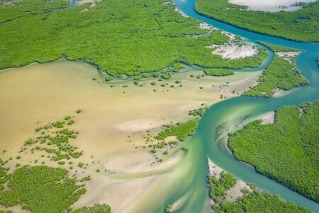 Senegal Mangroves. Aerial view of mangrove forest in the  Saloum Delta National Park, Joal Fadiout, Senegal. Photo made by drone from above. Africa Natural Landscape.の写真素材