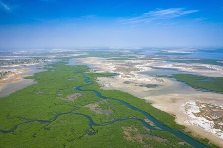 Senegal Mangroves. Aerial view of mangrove forest in the  Saloum Delta National Park, Joal Fadiout, Senegal. Photo made by drone from above. Africa Natural Landscape.の写真素材
