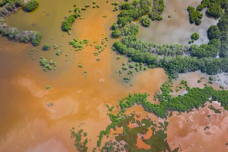 Aerial view of national reserve in south of Gambia, West Africa. Photo made by drone from above.