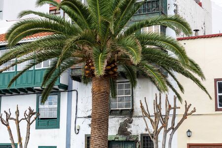 Famous ancient colorful balconies decorated with flowers. Santa Cruz - capital city of the island of La Palma, Canary Islands, Spain.の写真素材