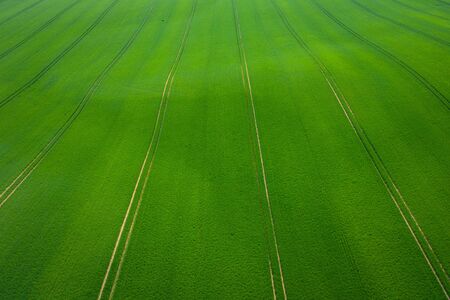 Green Fields. Aerial view of the tractor spraying the chemicals on the large green field....