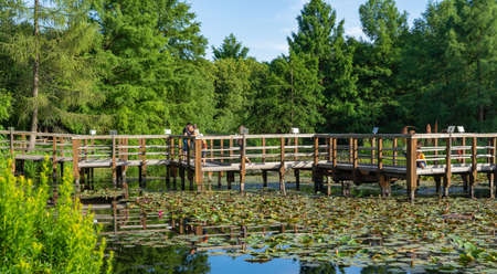 Wooden footbridge on the lake in parkの写真素材