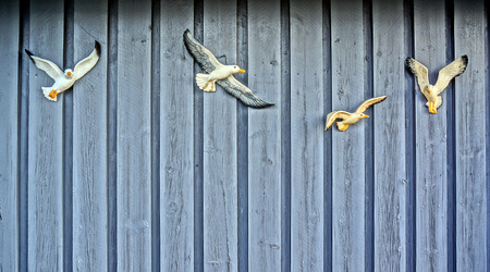 Wooden wall from boards painted in blue gray. On the wall hung four figures flying seagulls.の写真素材