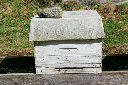 Wooden Beehive on base. Norwegian bee apiary. Early spring in southern Norwayの写真素材
