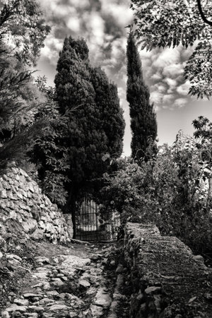 Secret gardenの写真素材