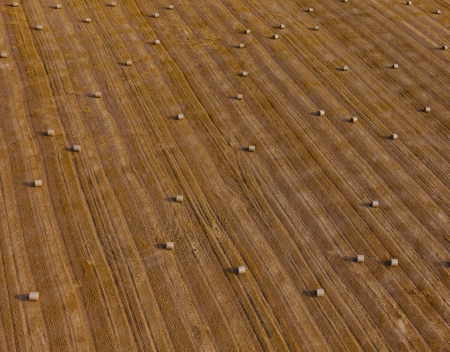 aerial view of harvest field 
