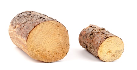 Cut logs Renewable energy の写真素材
