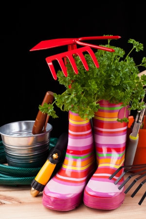 gardening tools isolated on blackの写真素材