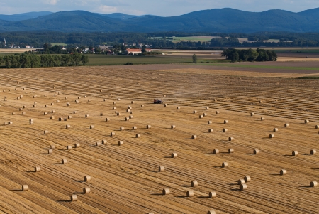 aerial view of harvest fields with combinesの写真素材