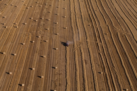 aerial view of harvest fields with combines