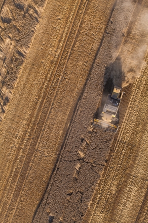 aerial view of harvest fields with combinesの写真素材