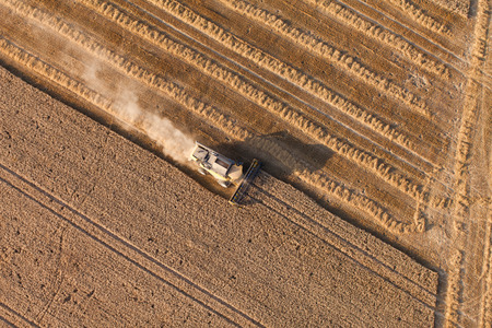 aerial view of combine on harvest field
