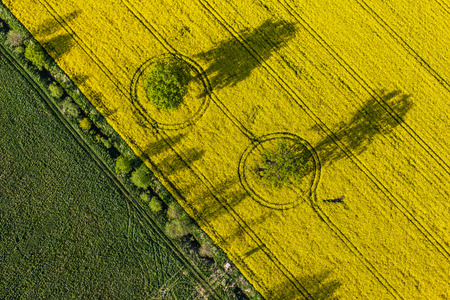 aerial view of harvest fields in Polandの写真素材