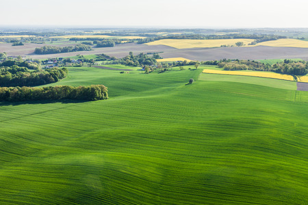 aerial view of harvest fields in Poland