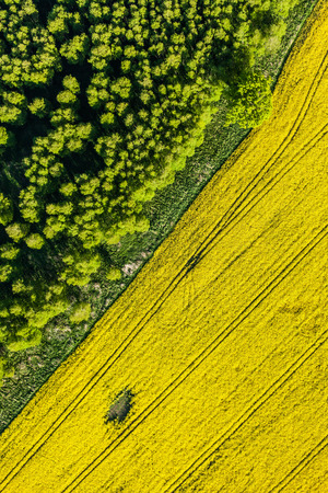 aerial view of harvest fields in Polandの写真素材