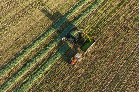 aerial view of harvest fields with tractor in Polandの写真素材