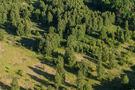 aerial view of the forest in Poland