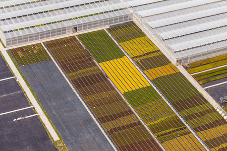 aerial view of greenhouses in Poland