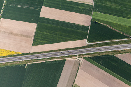 aerial view of a green harvest fields in Poland