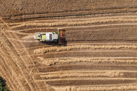 aerial view of combine on the harvest field in Polandの写真素材
