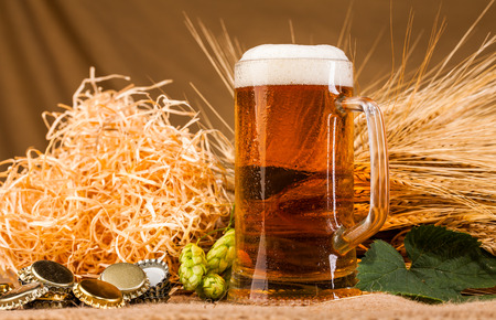 Glass of light beer and spikes of barley on table
