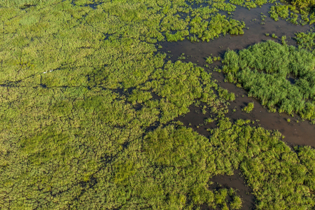 aerial view of the wetland near Otmuchow town in Polandの写真素材