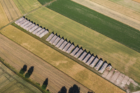 aerial view of the   harvest fields in Poland