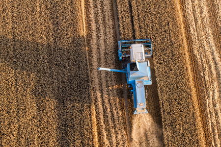 aerial view of combine on the harvest field in Poland
