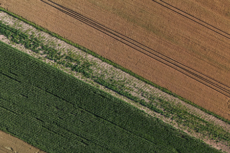 aerial view of green harvest field in Poland