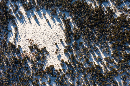 aerial view of the winter  time in Polandの写真素材