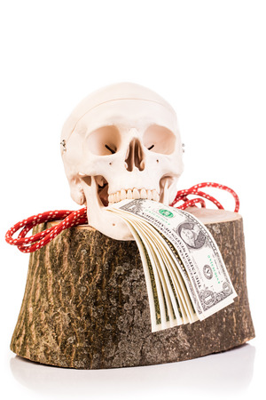 human skull and wooden  log isolated on whiteの写真素材