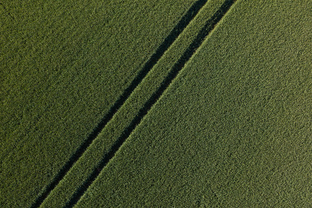 aerial view of the harvest fields in Polandの写真素材